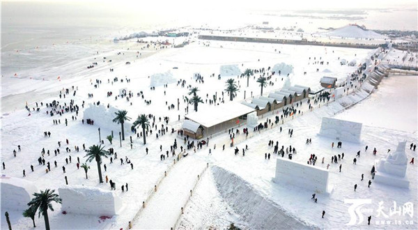 游客在新疆博斯腾湖大河口(西海渔村)景区欣赏雪雕