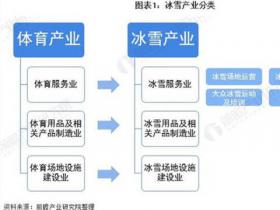 预见2021：《2021年中国冰雪产业全景图谱》