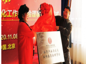 中华文化促进会冰雪产业与文化工作委员会助力冰雪发展