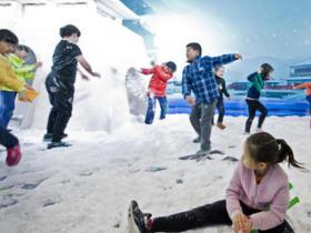 张家口市教育系统多措并举推动青少年冰雪运动普