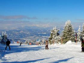 全国滑雪场联盟办冰雪运动与营地教育发展论坛