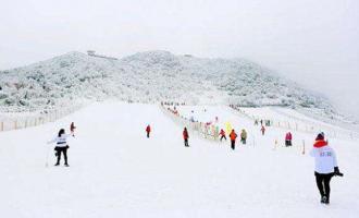 天津体育局学习《关于以2022年北京冬奥会为契机大力发展冰雪运动的意见》