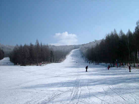 亚布力新体委滑雪场