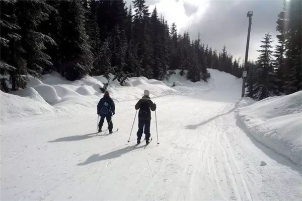 越野滑雪2