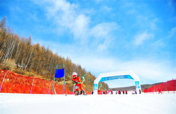 张家口市第五届学生冰雪运动会比赛现场 5