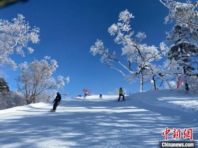 游客体验冰雪的速度与激情