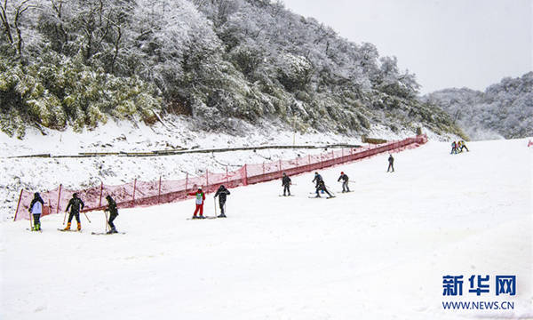 游客在金佛山北坡滑雪场滑雪