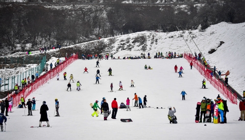 游客在位于四川省阿坝藏族羌族自治州的太子岭滑雪场体验冰雪运动