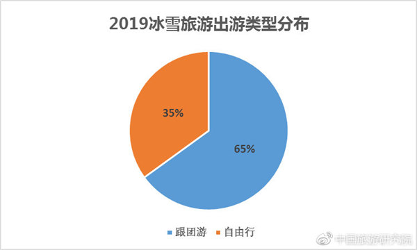 2019冰雪旅游出游类型分布