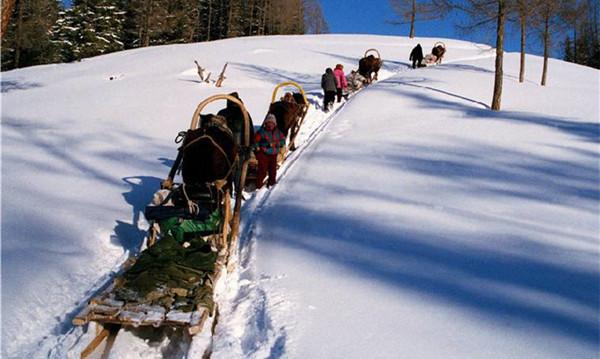 冰雪旅游