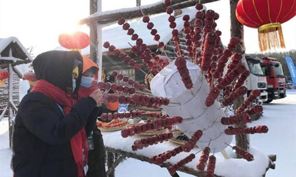 第十九届中国长春净月潭瓦萨国际滑雪节，净月潭盛大启幕！ 4