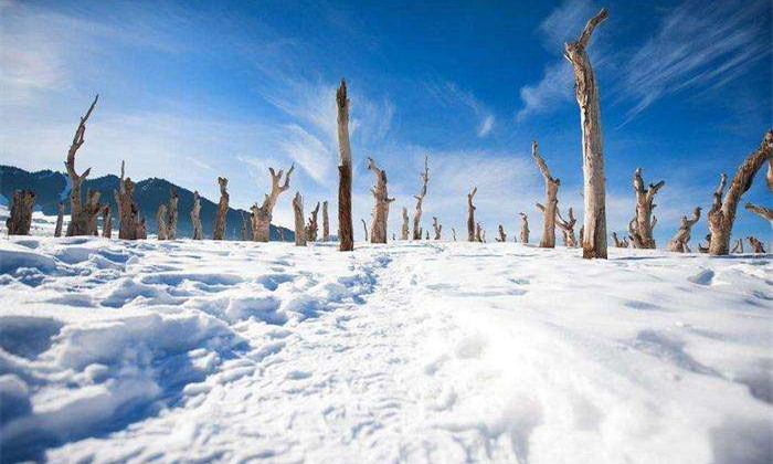吉林省吉林市大力发展冰雪经济促转型
