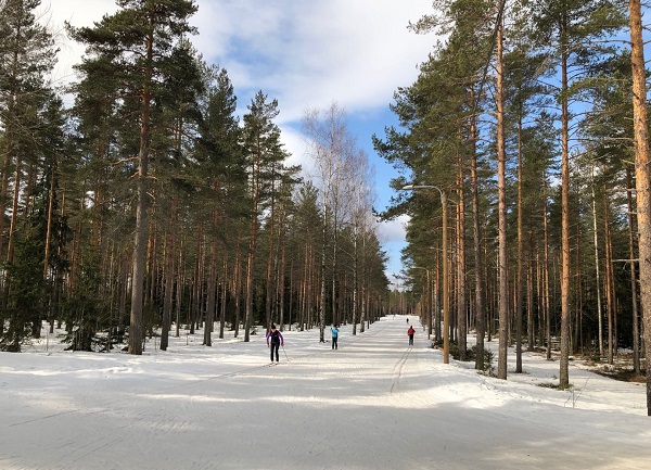 在拉赫蒂市体育中心，民众免费享受专业冰雪场地。