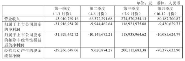 长白山2018年分季度财务数据