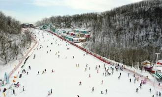 湖北冰雪产业交流会在荆州举行