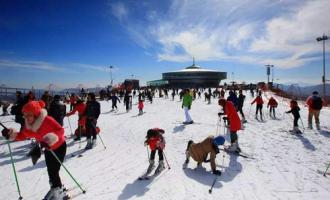 室外滑雪场中有哪些安全隐患？需要怎么预防?