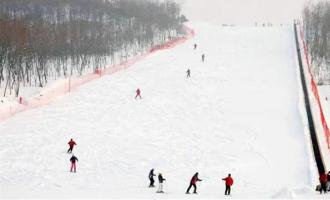 崇礼多乐美地滑雪场有多少条滑雪道？