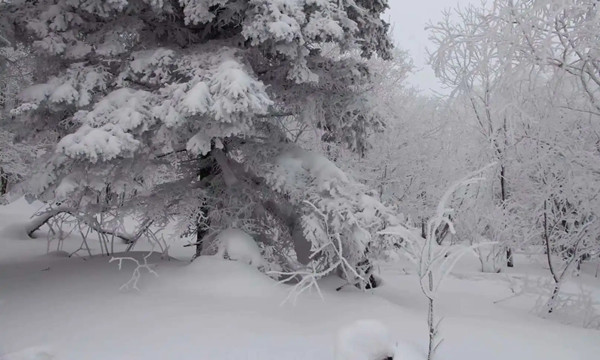 长白山雪景